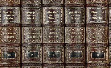 Fake faux books