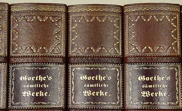 Fake faux books