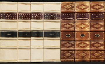 Leather Fake Faux Books