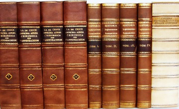 Fake Dummy Books