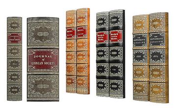 Book Spines old faux bookcase