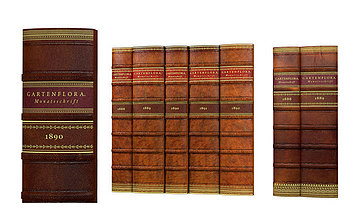 faux books