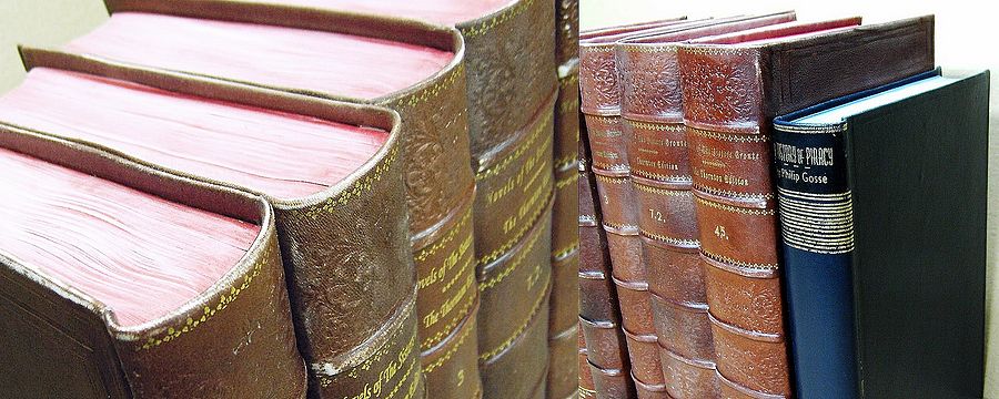 Antique Spines